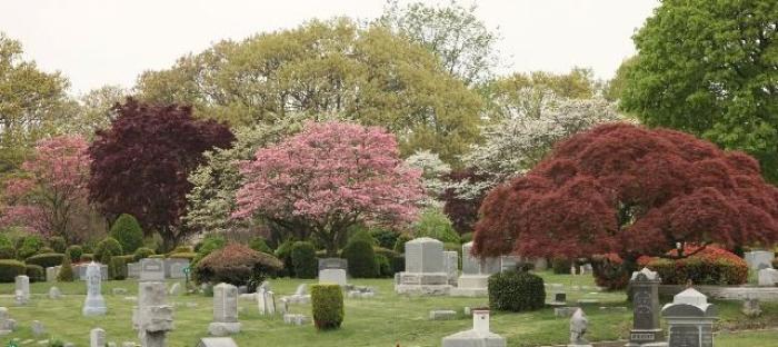 Greenfield Cemetery