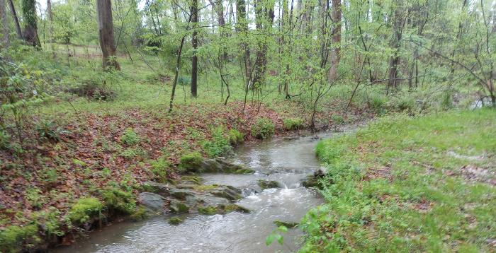 creek restoration