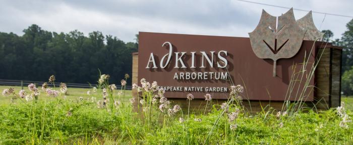 Adkins Arboretum Adkins Arboretum
