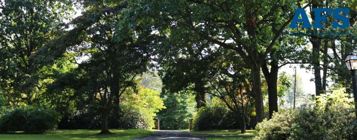 Abington Friends Arboretum