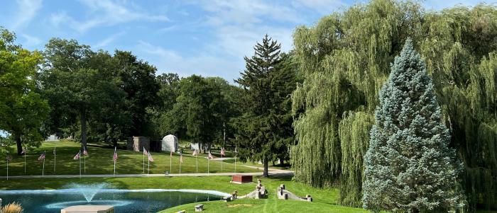 Cemetery trees