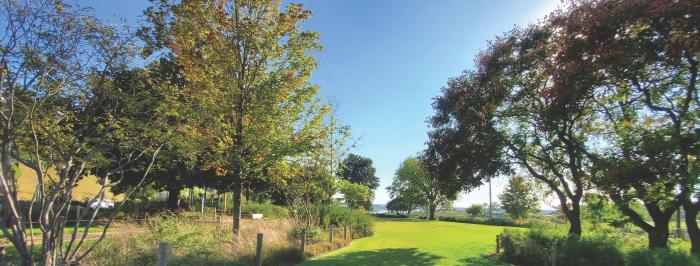 Fourth Bluff Arboretum