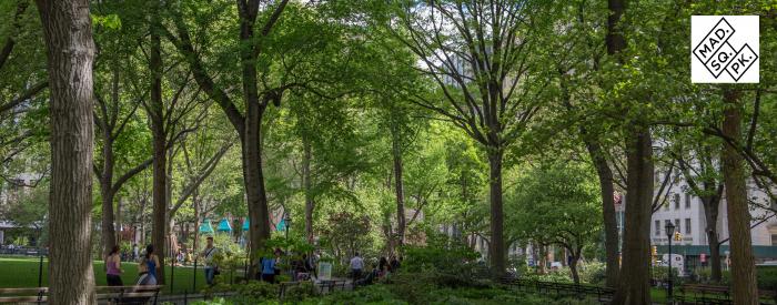 Madison Square Park Conservancy 