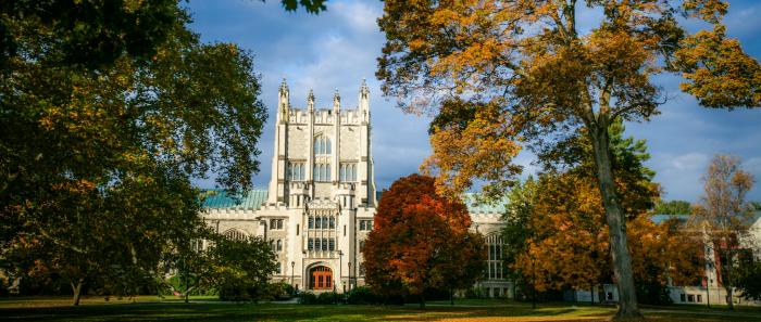 Photo by Tamar M. Thibodeau/Vassar College trees