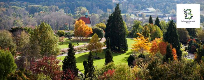 Prague Botanical Garden - Ornamental garden