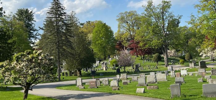 cemetery trees