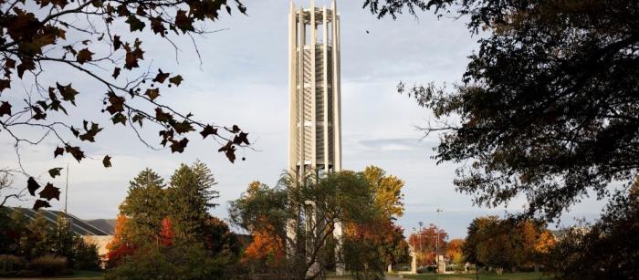 Campus trees