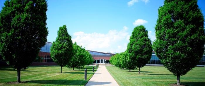 campus trees