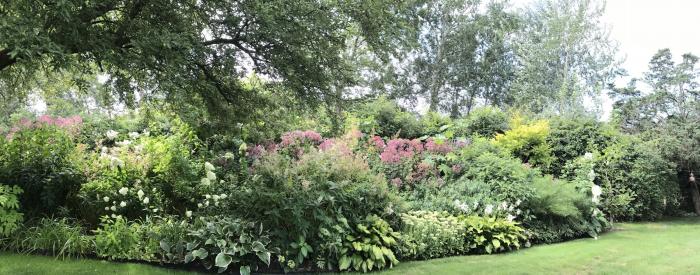 Salt Marsh House Arboretum