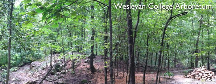 Wesleyan College Wesleyan College