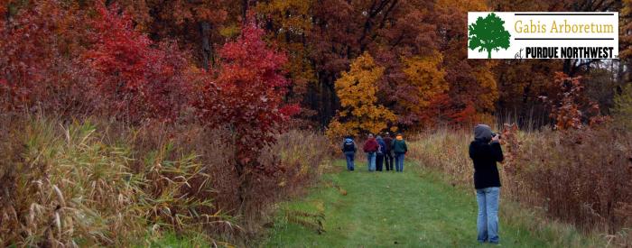 Gabis Arboretum fall hike