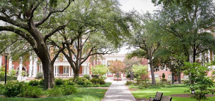 Georgia College & State University