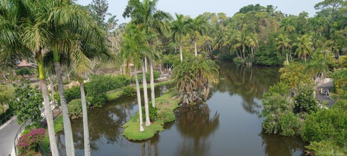 arb
