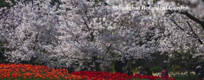Shanghai Botanical Garden Shanghai Botanical Garden