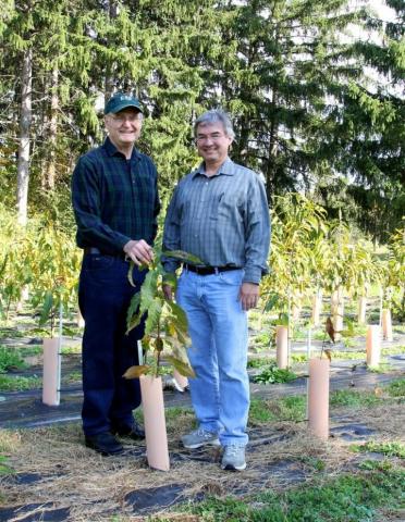 Dr. Charles Maynard, left, and Dr. William Powell of the SUNY College of Environmental Science and Forestry