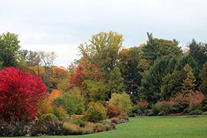Cornell Botanic Gardens - Fall color