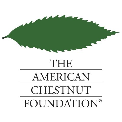 The American Chestnut Foundation The American Chestnut Foundation
