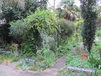 The Garden at the South London Botanical Institute in Tulse Hill