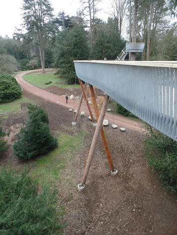 Treetop walkway, Westonbirt Treetop walkway, Westonbirt