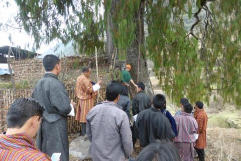 RBGE staff work with conservationists in Bhutan to save the Sacred Cyprus.
