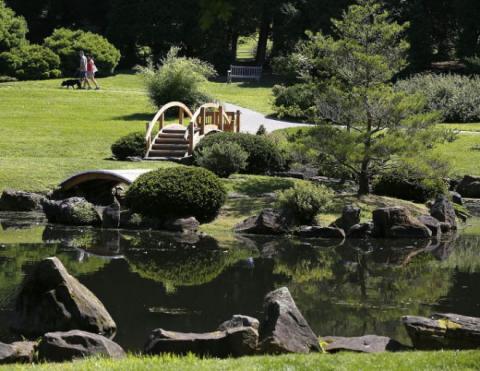 Japanese Garden - The Dawes Japanese Garden - The Dawes