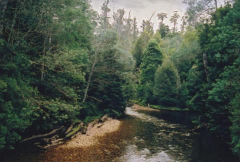 mountain ash mountain ash
