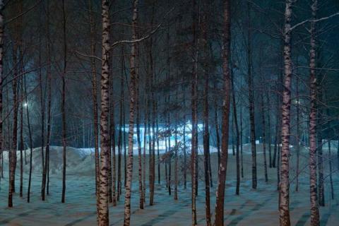 Time to rest your weary branches by Dmitry Savin/Getty