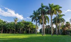 Montgomery Botanical Center