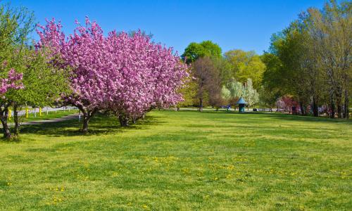 Arbnet | Lake Erie Arboretum at Frontier Park