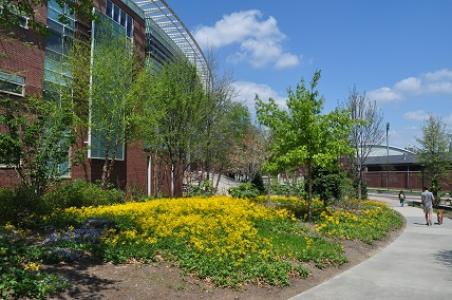 Georgia Tech Campus Arboretum