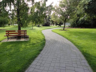 Oval Path trees