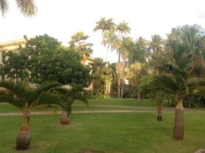 University of Hawai'i at Mānoa Campus Arboretum
