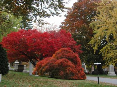 Mount Auburn Cemetery