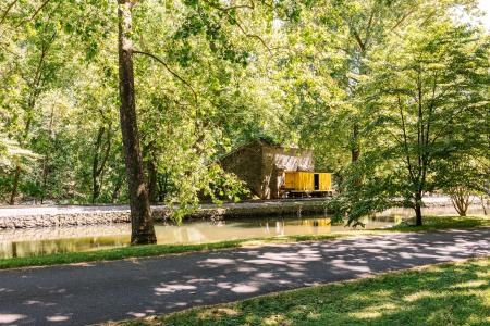 tram tram