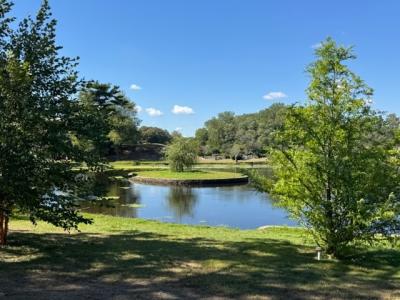 pond