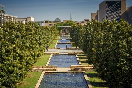 University of Texas at Dallas