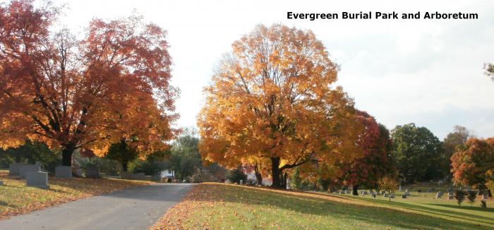 Evergreen Burial and Arboretum