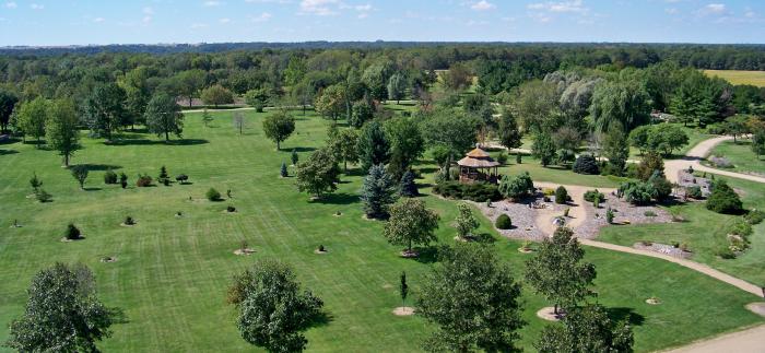 aerial view