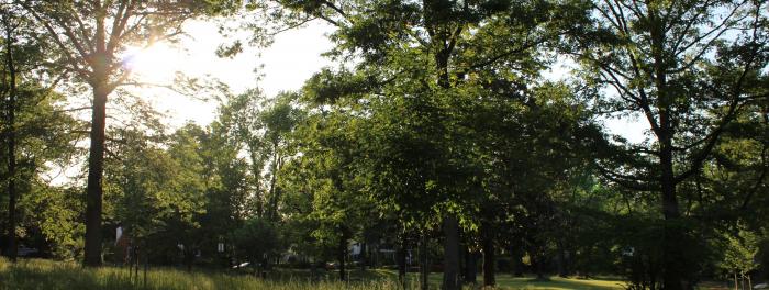 Kilmer Park and Arboretum