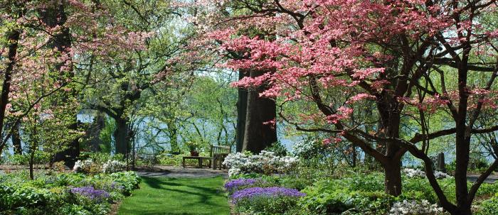 Green Walk spring Green Walk spring
