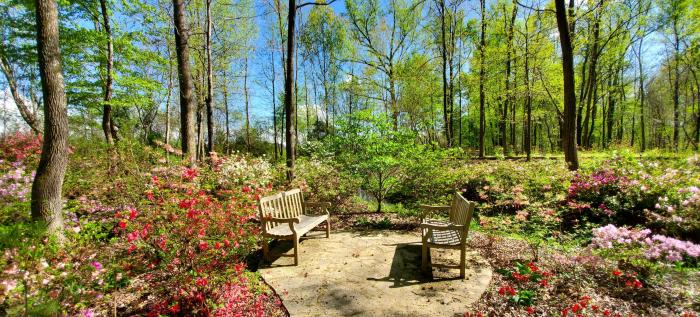 Huntsville Botanical Garden Azalea Trail