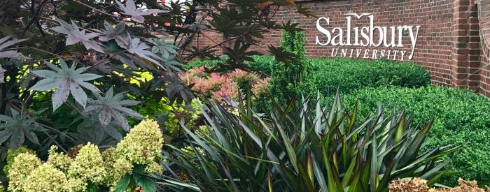 Salisbury University Arboretum