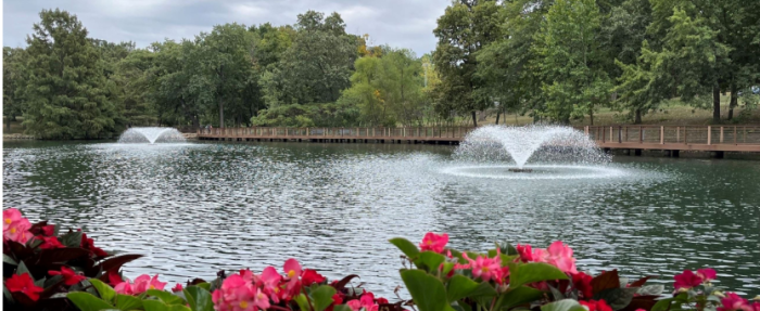 pond