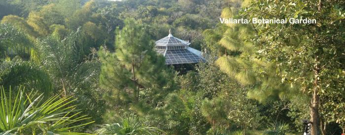 Vallarta Botanical Garden